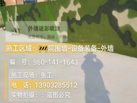 廊坊 迷彩漆喷涂价格(按平方米计费)